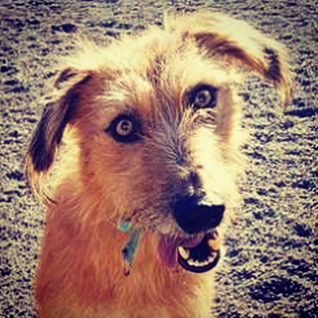 156F2CF4-75BF-4E00-ACF2-72BA876B19A2