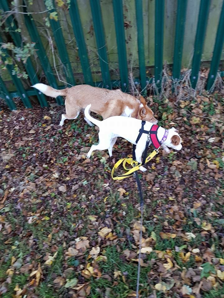 16CAAEF0-D936-4A15-B792-9762BBE2A80C