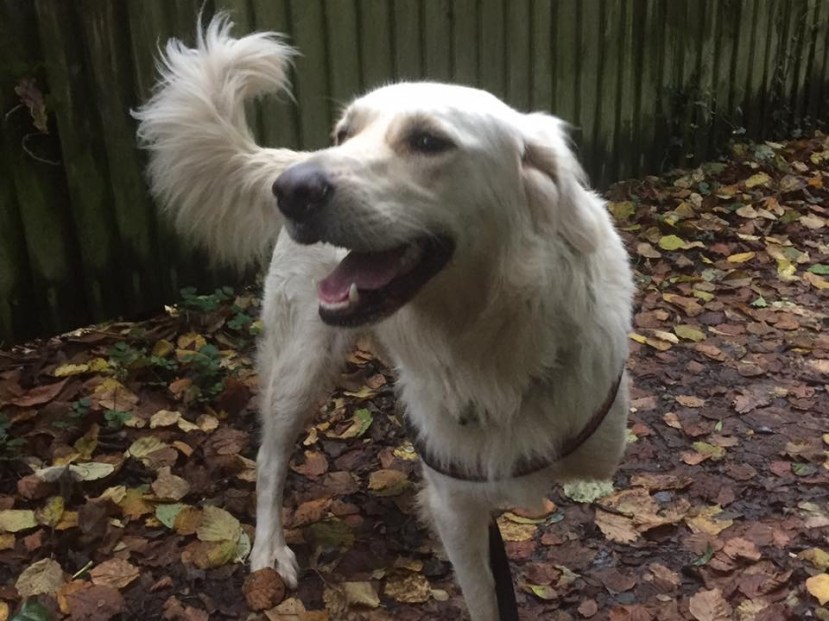 1876A56D-5704-40AD-9AF1-4FDCC29204FC