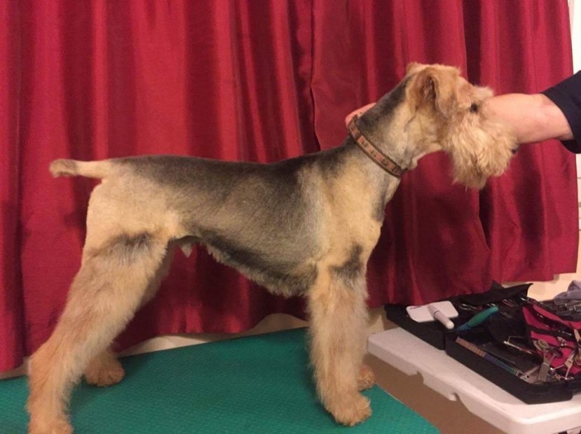 1E138019-87D1-45F7-82F3-123C9E360C6D