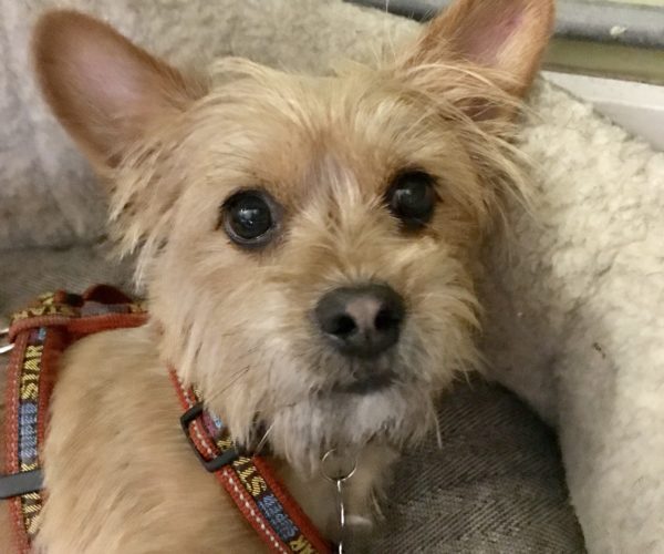 1E1E002B-378A-400D-AC5F-7309DC597350