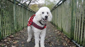 1E1F7022-6E5C-48E8-8F26-7D50B64F431F