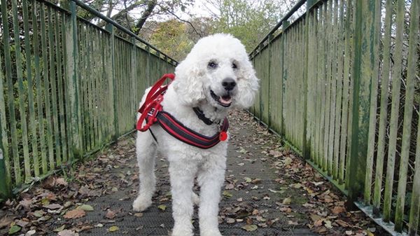 1E1F7022-6E5C-48E8-8F26-7D50B64F431F