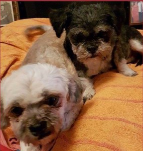 22B95084-10FD-4C8E-97E5-12B9D652C493