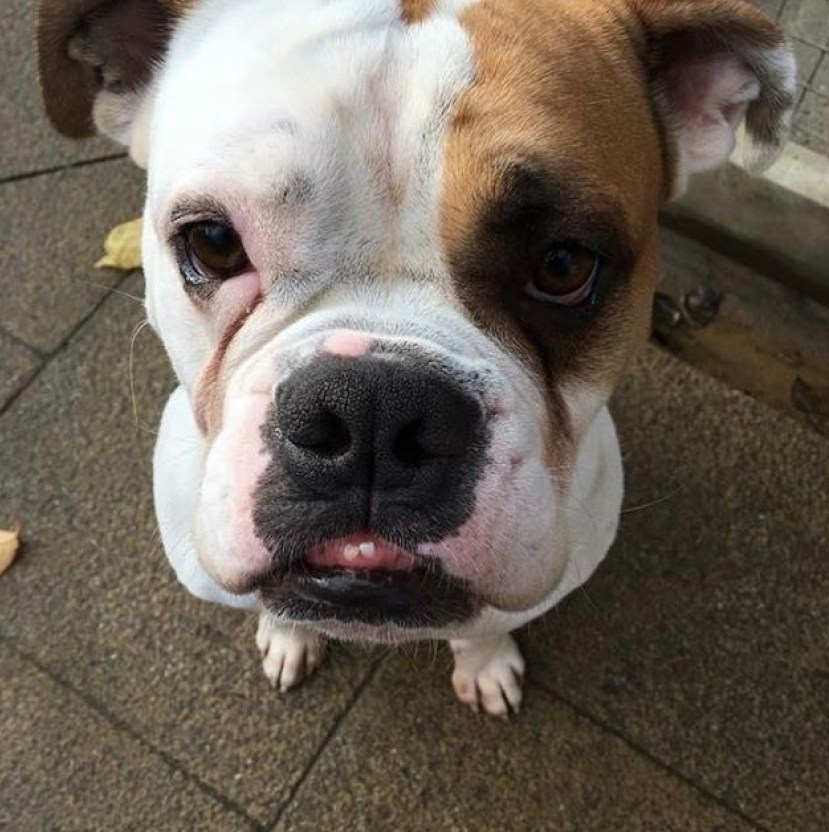 25640F35-CB47-4FA0-9D68-78ADCF80AB6C