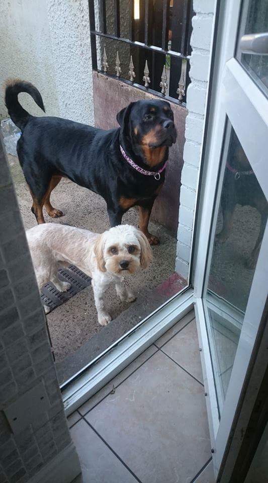 2D2300AF-B00C-4C45-95B6-85DB674E6B7A