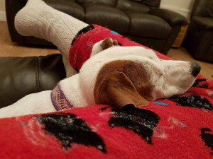 2F5D5642-A1AF-4082-85C8-28364ED5EA7D