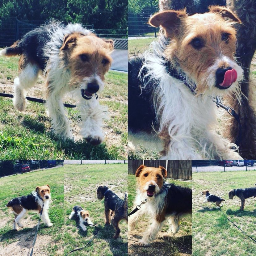 3190B55A-19E4-4141-8F61-DAB27EA74B48