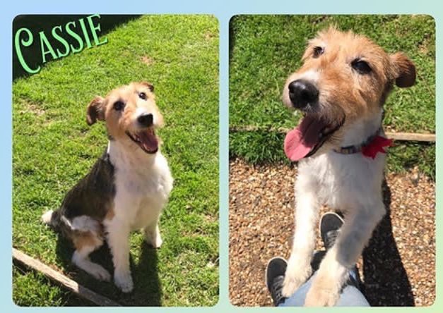 323C1A7E-3703-41FE-AC30-EF5976F17C03