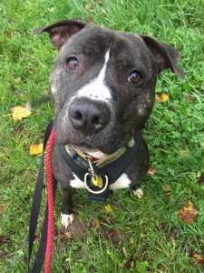 3A123988-1AA8-4343-A613-DE02DF244312