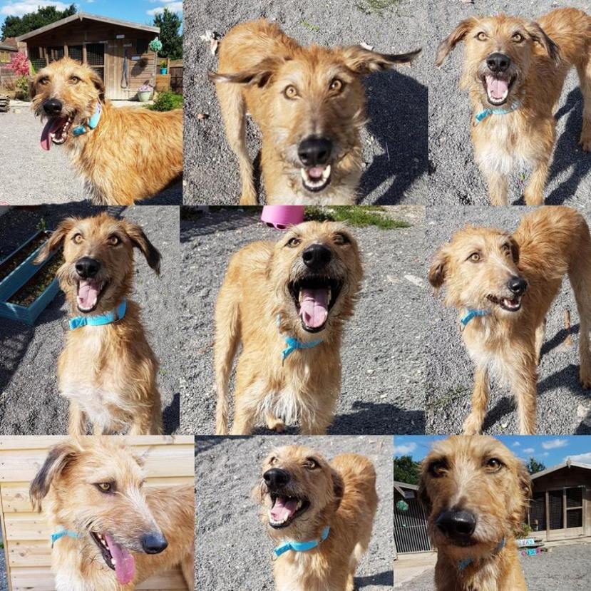 4525B4B4-FB4A-4E1B-A53E-3C269B50A07C