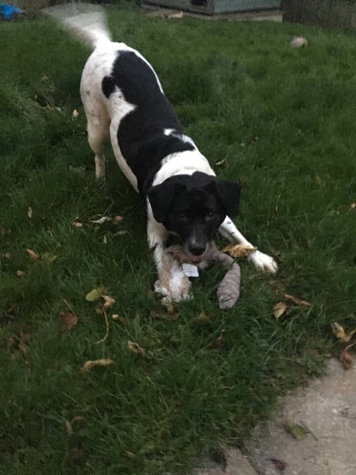 4DFDA2E6-051B-46CC-88F9-5632EBD5C460