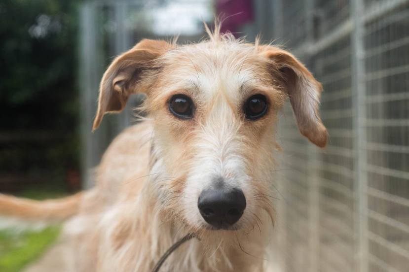 5070614D-184E-4D4A-8641-004A087A9217