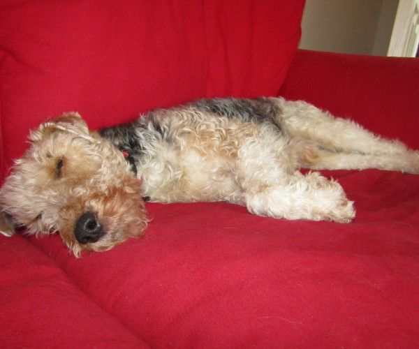 53D86743-5DC3-4B72-B4C5-C8D18D7C810A