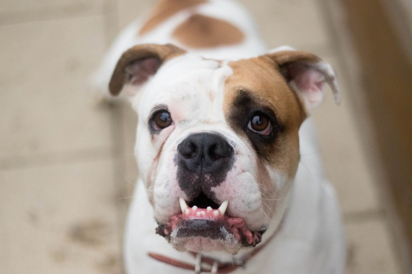 54C22559-0389-4B1E-9C27-AA17312F56EC