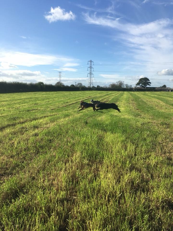 5B9BA643-89DE-4257-939C-EF58EE731FF1