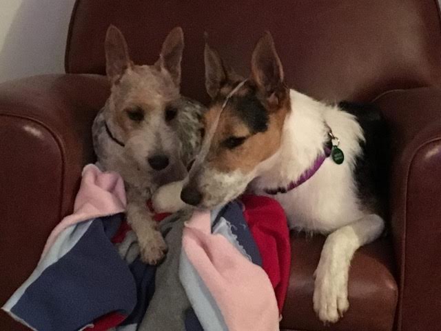 5BAF8F70-27E4-40A7-A4D3-688AE61A9868