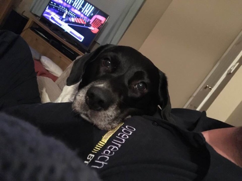 681811FA-FB03-49C1-A0BB-4831995D114F