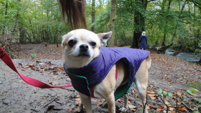 695A8BC1-4B86-4F1B-B0AC-AC1F0083FCB3