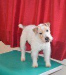 6B88B2EB-B021-4E77-BEF9-1B54F715B340