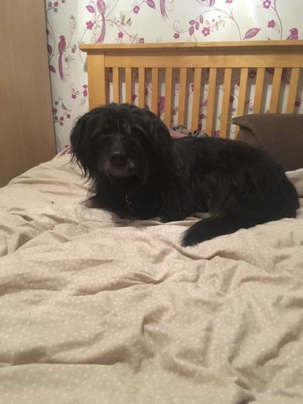 72041BE6-E812-474A-84D4-D26BD205C9F6