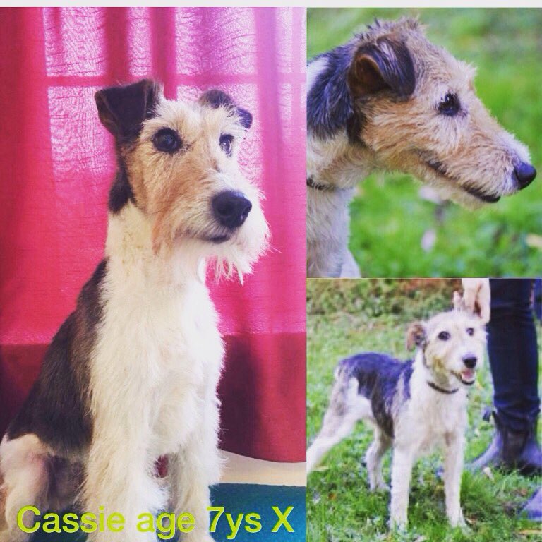 74DB3BBC-373D-4C49-8845-0EBBDC867B06