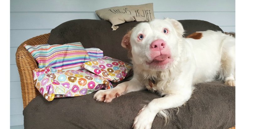 7EC90AED-8EAE-4A26-9437-D9B58939705F