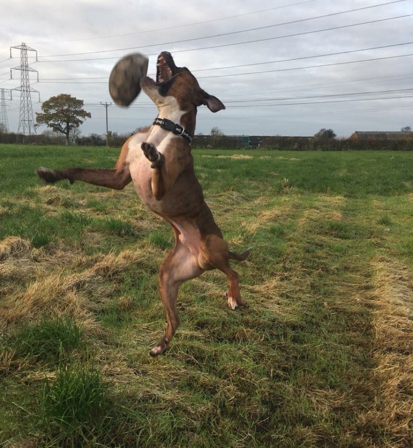 842D1204-ADB0-4592-BC90-0CE5BA61DDFC