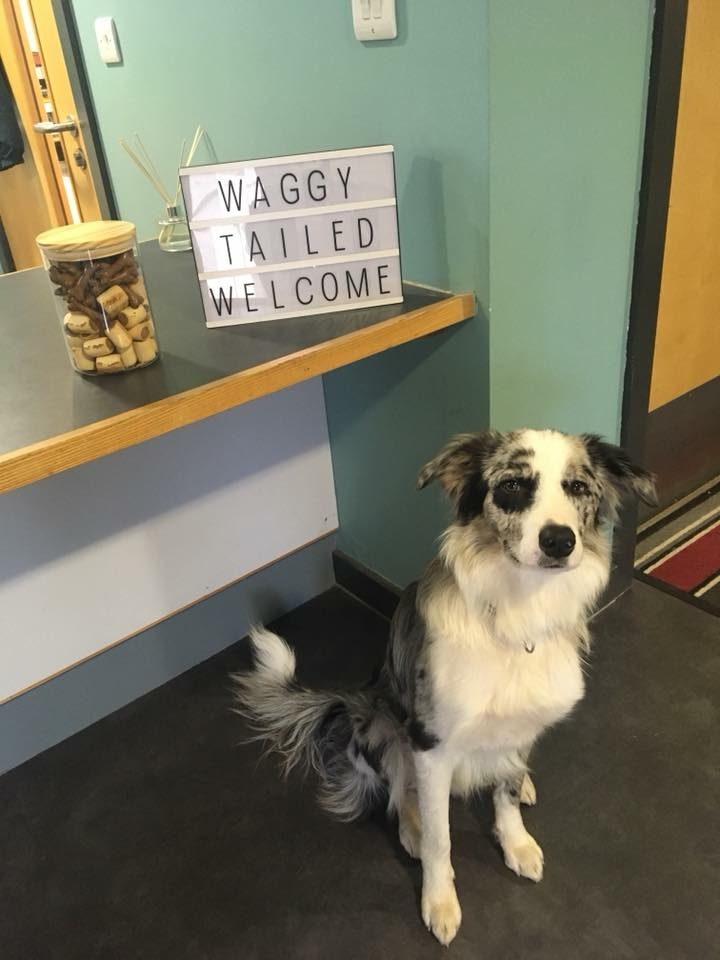 92563E74-C1C9-42D9-9736-A1082A711116