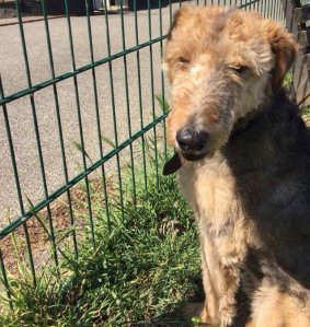 93623DC5-82DA-4A77-9722-85C8D9E4B45F