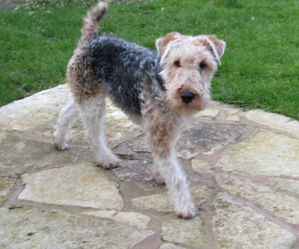 94A8CCA6-0E41-4A7F-8DAA-0787B4B1E11F