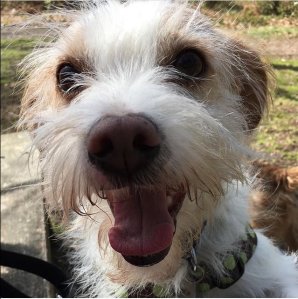 978FD6BB-BA4D-48BE-972E-EA1E9848EEA3