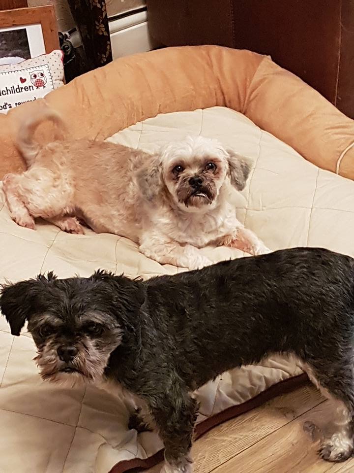 9B48DD27-34FD-418C-B234-76581CAF2F4F