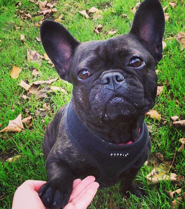 A412756A-0B45-46A6-B838-BDE453B0D789