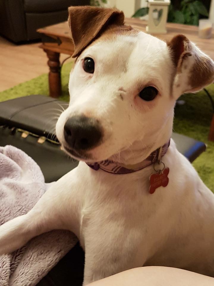 A66A41FE-1BA1-4340-8D06-7A75C055626C