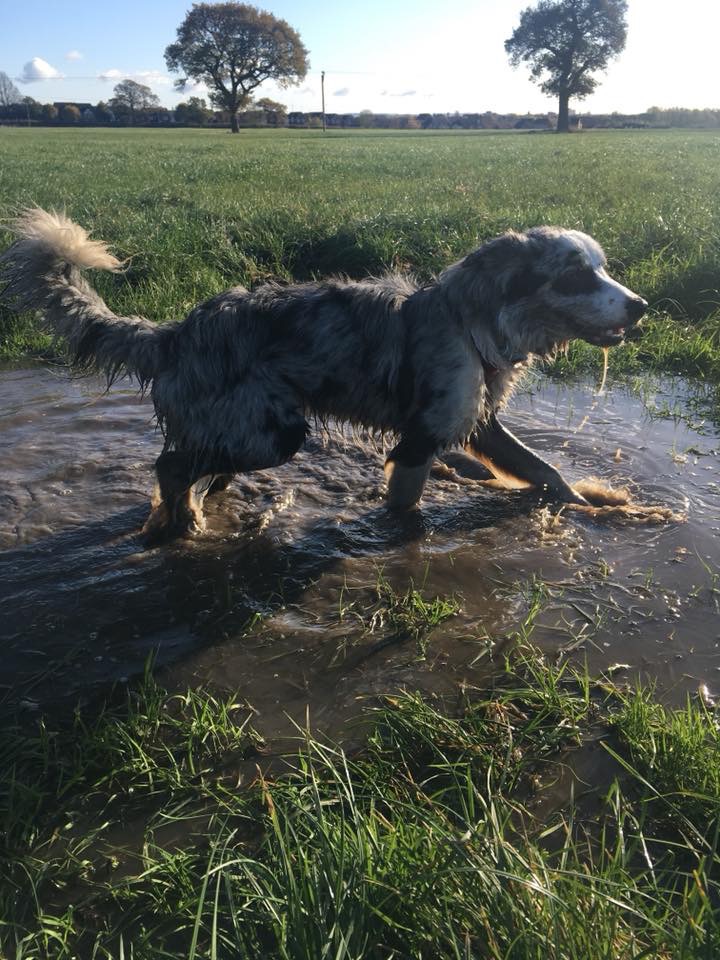 A6AAC063-F631-42EC-8654-45BECB5DE323