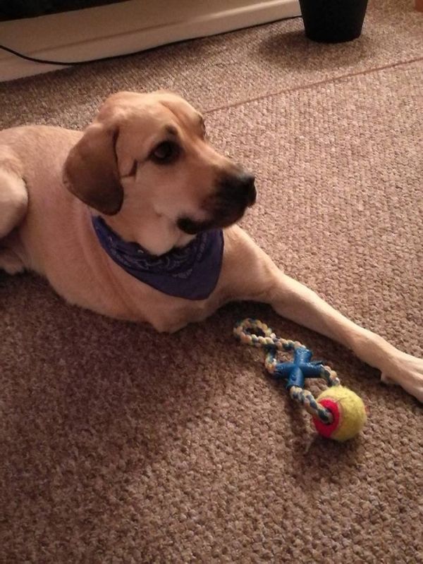 AB2881AB-7C01-4636-896E-038DA55BEBE0