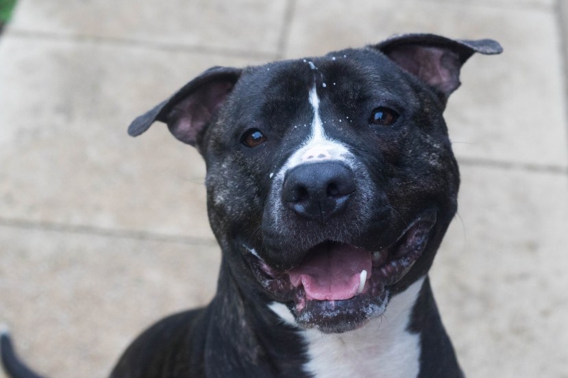 B6AEEAAB-EEDB-41EC-99D6-6083713B129A