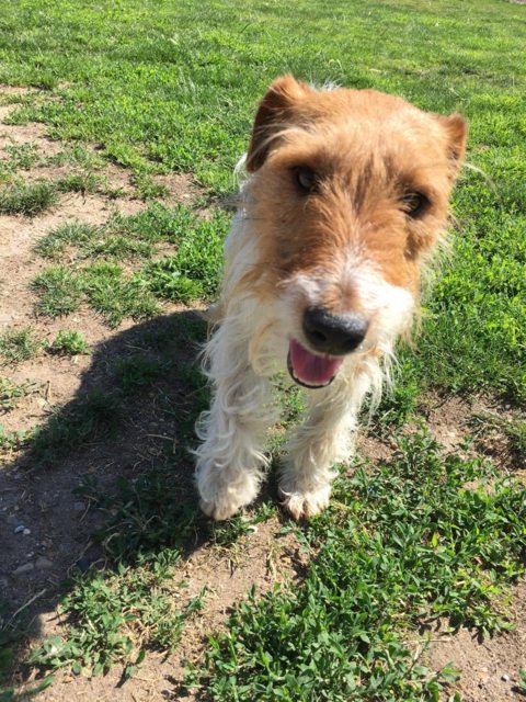 B7D9DD2B-8445-46A4-8F85-D7BB0BC454CA