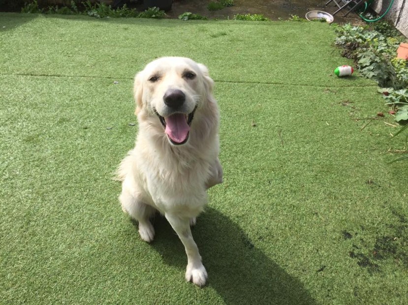 C0D29F48-A0AA-478B-9175-13ABC93D38C6