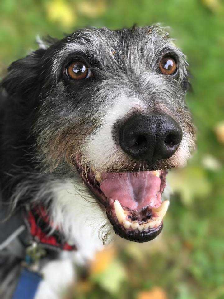 C49B3F4B-011E-4F98-B327-6001B245201C