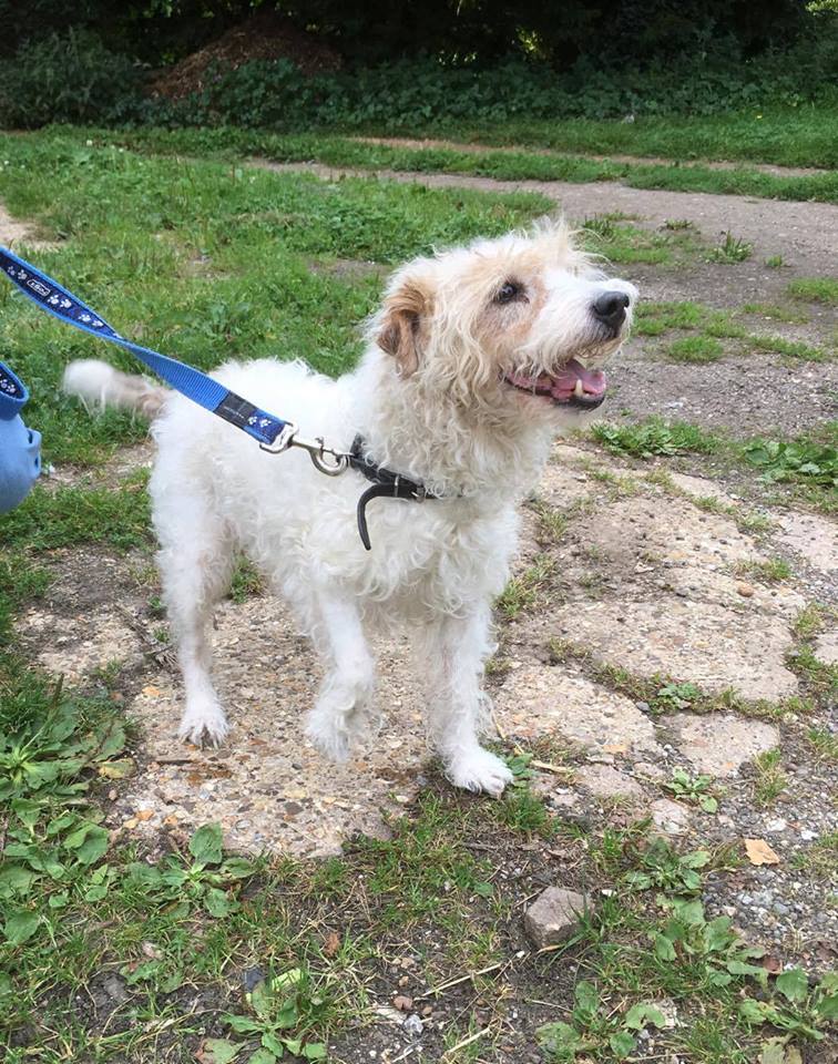 C5BF8BAF-2F43-4E62-B81D-0A9963349F34