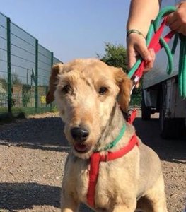 C6B1DF55-C991-42C8-B278-912802D667A6