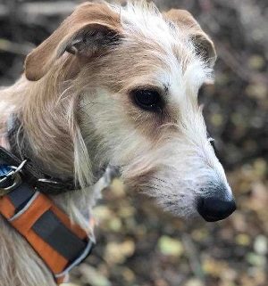 D49ED6F4-0C5F-4D27-89D6-9A2AEB2406E3