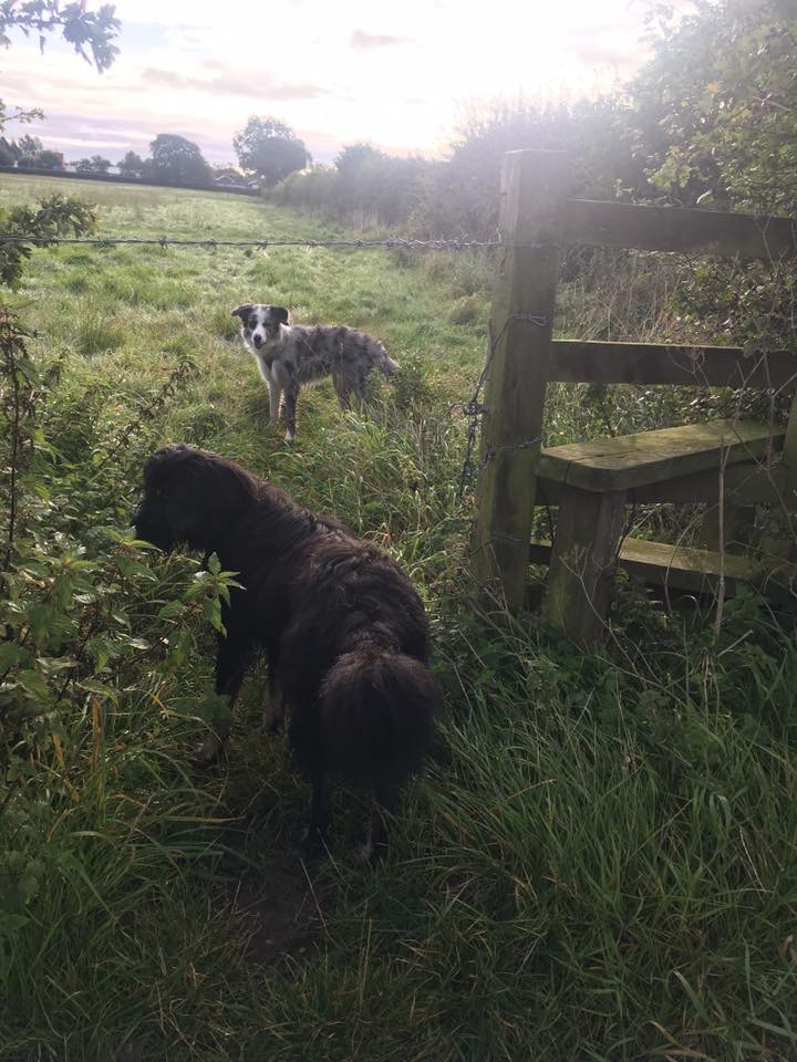 D6F65784-CC31-438B-9E47-23D1174E5FC9