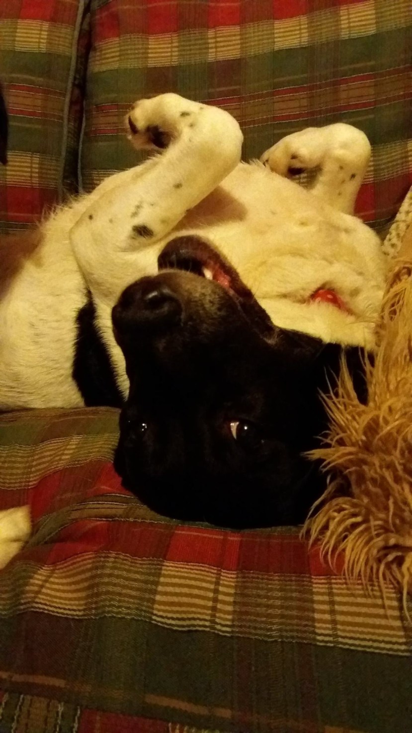 E3CA2637-98D5-4514-AE0D-B60580C22430