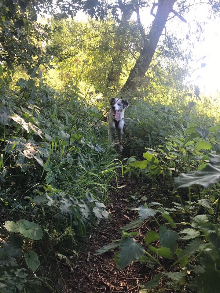 E4572E76-6964-4487-9DB7-45B6F4938BCD