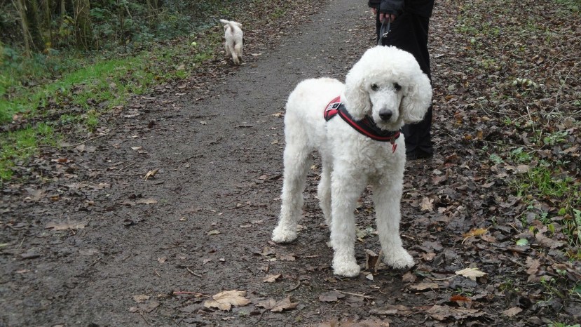 EC4BEC13-63F8-4794-8D28-6C3A7E98C5F4