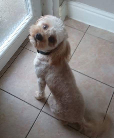 F7B6B46C-87F8-435A-A674-664A972982E8