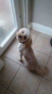 F7B6B46C-87F8-435A-A674-664A972982E8